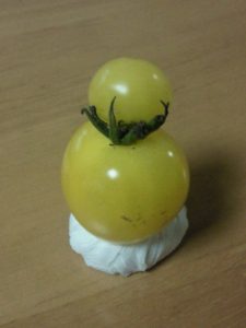 2010ミニトマト