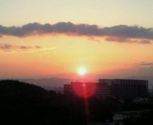 20101229朝陽
