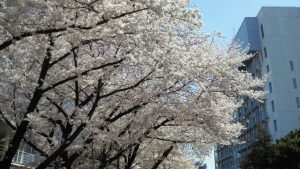 20150331BSI