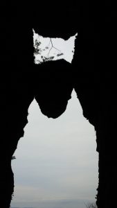 NEC_2535